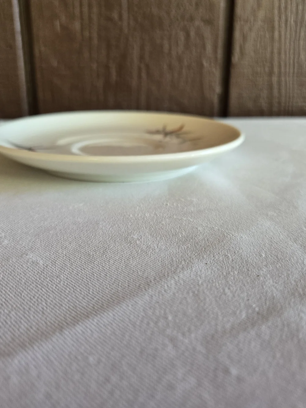 Carefree True China by Syracus Floral Saucer